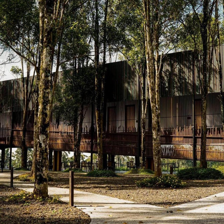 Teras Hotel Ijen Banyuwangi Баньюванги Экстерьер фото